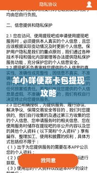 羊小咩便荔卡包提现攻略,羊小咩便荔卡包提现攻略，轻松掌握资金流动之道