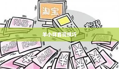 羊小咩什么套现,揭秘羊小咩套现技巧与风险