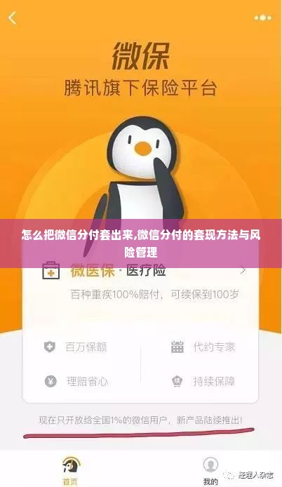 怎么把微信分付套出来,微信分付的套现方法与风险管理