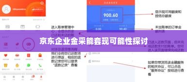 京东企业金采能套出来服务吗,京东企业金采能套出来服务的可能性探讨