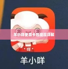 羊小咩便荔卡包提现方法,羊小咩便荔卡包提现方法详解