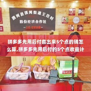 拼多多先用后付套出来5个点的钱怎么算,拼多多先用后付的5个点收益计算