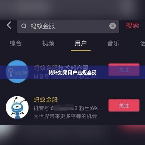 抖音月付的钱可以套出来吗是真的吗,揭秘抖音月付的神秘面纱，资金能否套现，真相究竟如何？