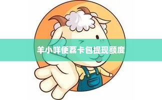 羊小咩便荔卡包怎么提现额度,羊小咩便荔卡包提现额度操作指南