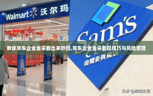 教你京东企业金采套出来秒回,京东企业金采套现技巧与风险管理