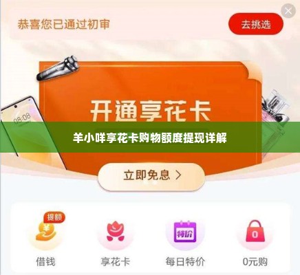 羊小咩享花卡购物额度提现渠道,羊小咩享花卡购物额度提现渠道详解