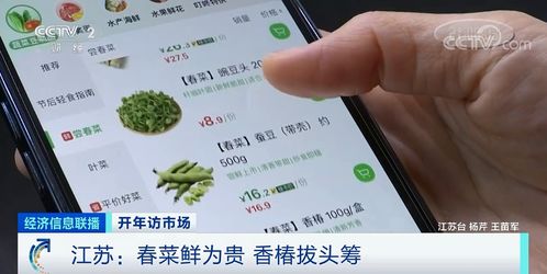 美团月付小额套出来秒回钱,美团月付小额套现的秘密与风险管理