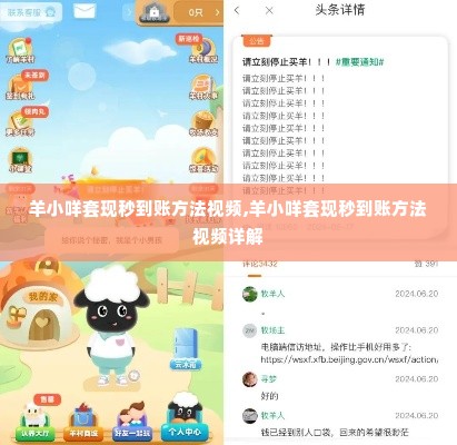 羊小咩套现秒到账方法视频,羊小咩套现秒到账方法视频详解