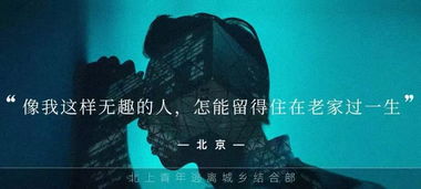 晚上找谁套出来转转分期,夜色下的金融探索，寻找转转分期的隐秘路径