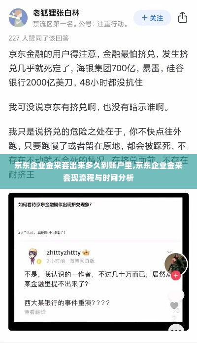 京东企业金采套出来多久到账户里,京东企业金采套现流程与时间分析