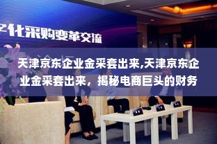 天津京东企业金采套出来,天津京东企业金采套出来，揭秘电商巨头的财务管理之道
