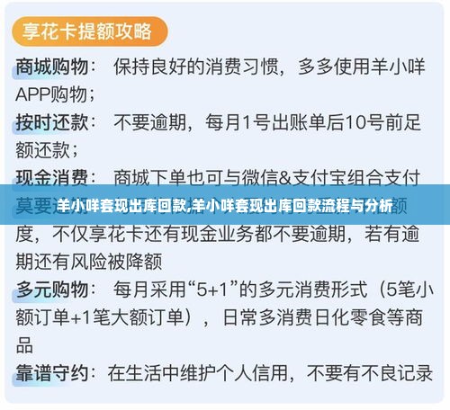 羊小咩套现出库回款,羊小咩套现出库回款流程与分析