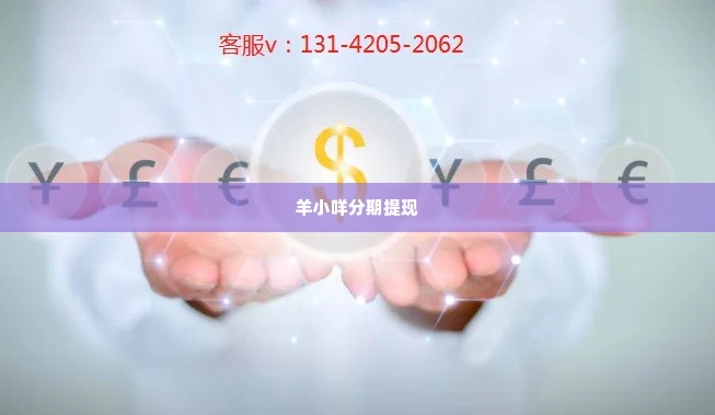 羊小咩分期提现,羊小咩分期提现，便捷与挑战并存的金融体验