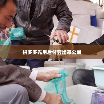 广州番禺拼多多先用后付套出来公司,广州番禺拼多多先用后付套出来公司——揭秘背后的金融创新与风险