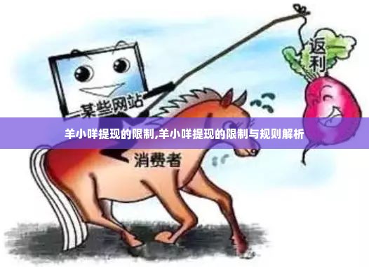 羊小咩提现的限制,羊小咩提现的限制与规则解析