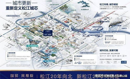 转转分期套出来的钱在哪,转转分期套出来的钱去哪儿了？