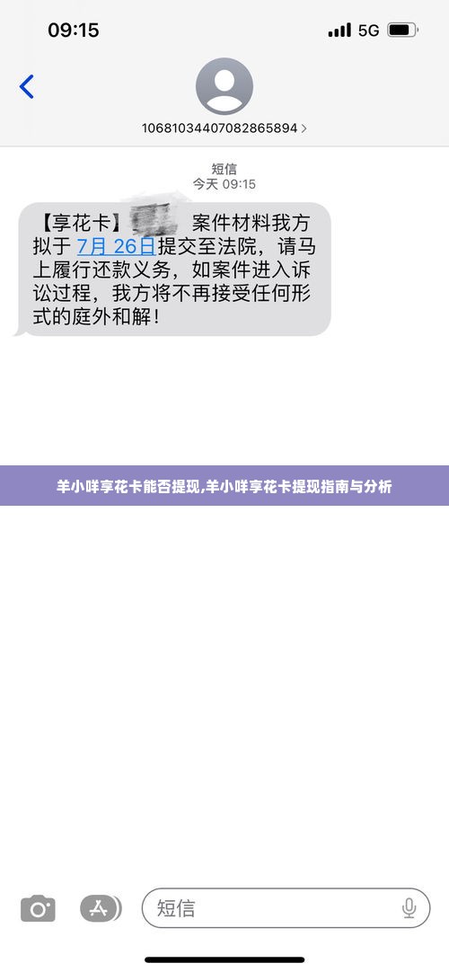 羊小咩享花卡能否提现,羊小咩享花卡提现指南与分析