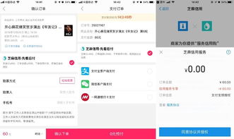 贵阳快手先用后付套出来,贵阳快手先用后付套出来，探索数字支付时代的新机遇