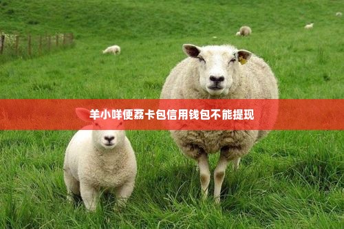 羊小咩便荔卡包信用钱包不能提现,羊小咩便荔卡包信用钱包提现难题