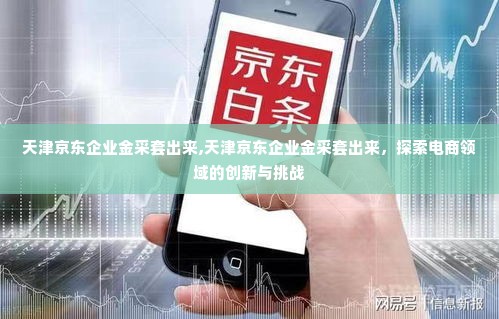 天津京东企业金采套出来,天津京东企业金采套出来，探索电商领域的创新与挑战