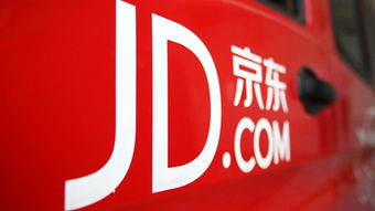 天津京东企业金采套出来,天津京东企业金采套出来，探索电商领域的创新与挑战