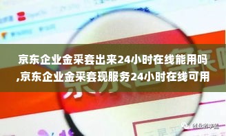 京东企业金采套出来24小时在线能用吗,京东企业金采套现服务24小时在线可用性探讨