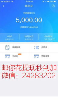 转转分期额度怎么套出来到微信,揭秘转转分期额度套现到微信的灰色地带