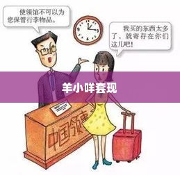 羊小咩做什么套现,羊小咩的套现之旅——揭秘网络平台中的羊毛党