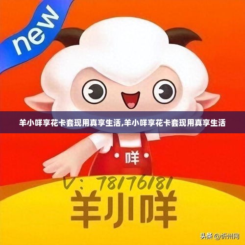 羊小咩享花卡套现用真享生活,羊小咩享花卡套现用真享生活