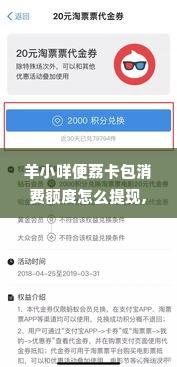 羊小咩便荔卡包消费额度怎么提现,羊小咩便荔卡包消费额度提现指南