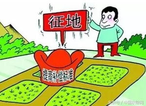 羊小咩套现一般收多少,羊小咩套现的收费标准探究