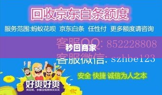 美团月付套出来秒回商家能看到吗,揭秘美团月付套现秒回商家的幕后真相