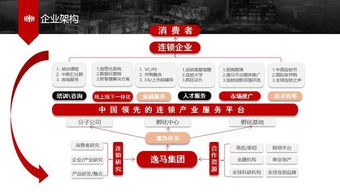 微店放心花套出来平台,微店放心花套出来平台，创新服务模式，提升用户体验