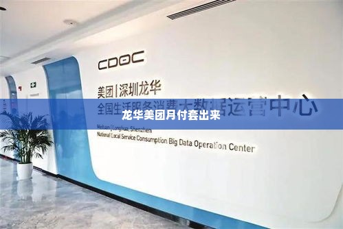 龙华美团月付套出来,龙华美团月付套出来，探索消费新趋势