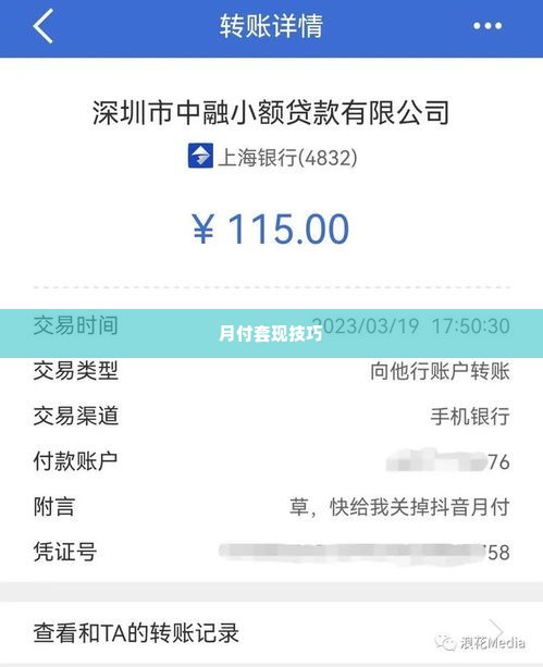 抖音月付小额套出来的方法,揭秘抖音月付小额套现的巧妙方法