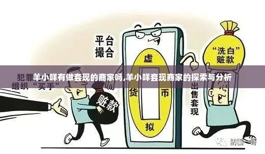 羊小咩有做套现的商家吗,羊小咩套现商家的探索与分析
