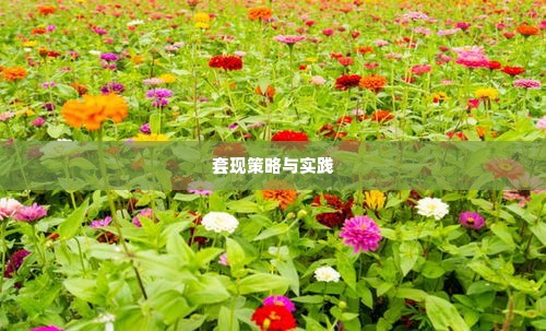 仙桃微店放心花套出来多少,仙桃微店放心花套出新招