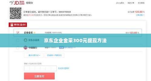 京东企业金采300元怎么套出来,揭秘京东企业金采300元套现技巧