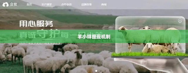 羊小咩在哪提现,探索羊小咩提现机制，安全、便捷还是陷阱？