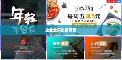京东企业金采如何套出来方法,京东企业金采，揭秘高效套现方法