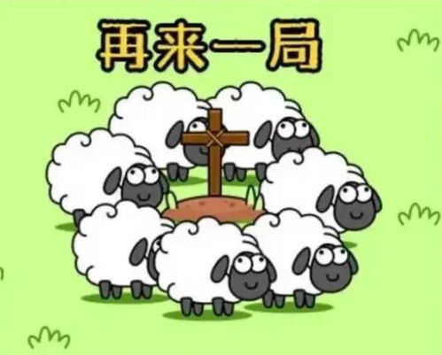 羊小咩套现几个点,羊小咩套现的奥秘——数字世界的货币游戏