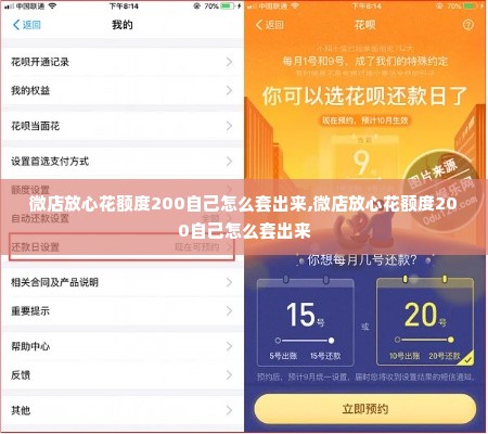 微店放心花额度200自己怎么套出来,微店放心花额度200自己怎么套出来