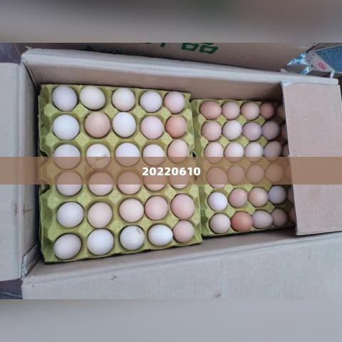 微店放心花提现怎么套出来到微信,微店放心花提现到微信的合法途径与风险规避
