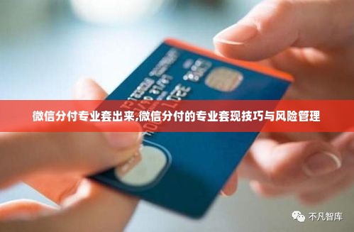 微信分付专业套出来,微信分付的专业套现技巧与风险管理