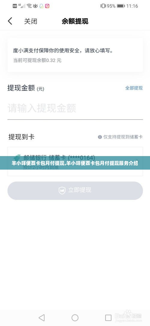 羊小咩便荔卡包月付提现,羊小咩便荔卡包月付提现服务介绍