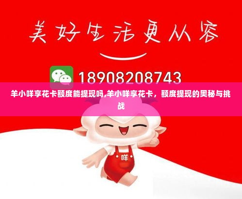 羊小咩享花卡额度能提现吗,羊小咩享花卡，额度提现的奥秘与挑战