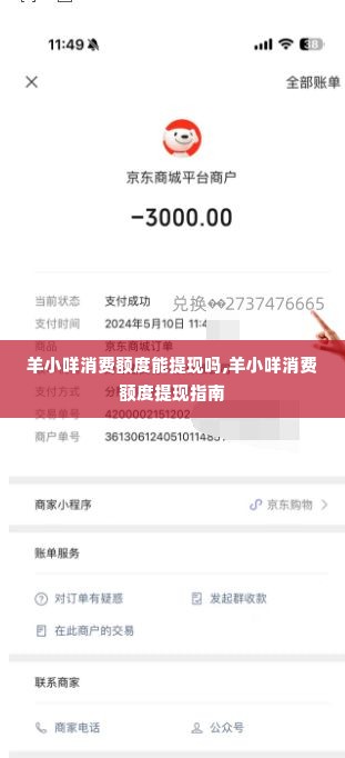 羊小咩消费额度能提现吗,羊小咩消费额度提现指南