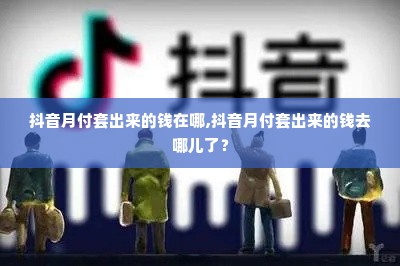 抖音月付套出来的钱在哪,抖音月付套出来的钱去哪儿了？