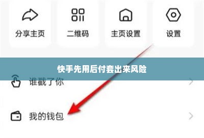 快手先用后付套出来找谁举报,揭秘快手先用后付套出来找谁举报的内幕与风险