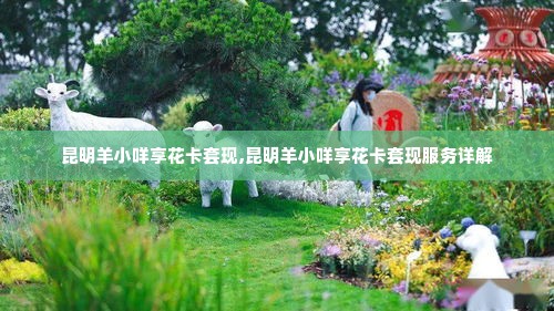 昆明羊小咩享花卡套现,昆明羊小咩享花卡套现服务详解
